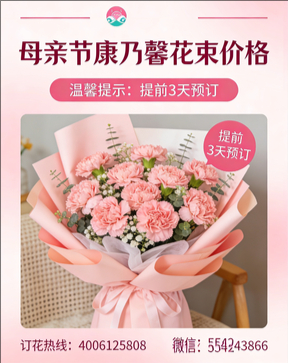 邵阳新宁县花店母亲节康乃馨花束