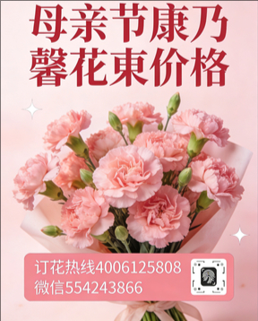 邵阳新宁县花店母亲节康乃馨花束
